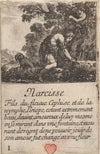 Narcisse