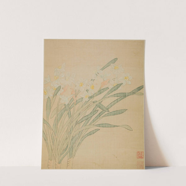 Narcissus (1690) by Ma Yuanyu
