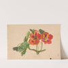 Nasturtium twig by Henryka Beyer