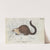 Nasua (Solitaria) Monachus, From Life by Charles Hamilton Smith