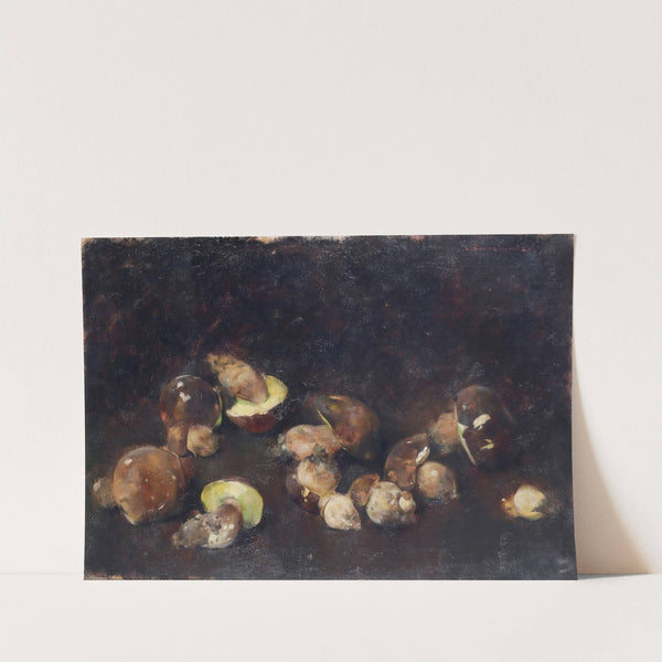 Natura morta con funghi by Luigi Serralunga