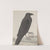 Natural history of Saint Domingue Pl.015 by René de Rabié