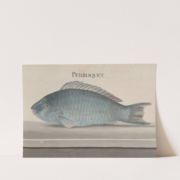 Natural history of Saint Domingue Pl.077 by René de Rabié