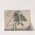 Natural history of Saint Domingue Pl.162 by René de Rabié