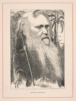 Natural selection [Charles Darwin] (1873)
