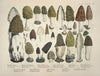 Naturgetreue Abblidungen und Beschreibungen der essbaren, schädlichen und verdächtigen Schwämme Pl.16