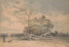 Near Timber Creek, Jersey shore (1859)