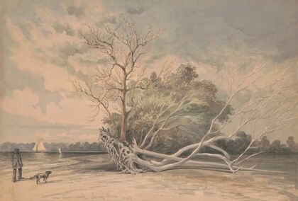Near Timber Creek, Jersey shore (1859)
