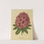 Nederlandsche flora en pomona Pl.13 (1879) by Abraham Jacobus Wendel