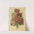 Nederlandsche flora en pomona Pl.15 (1879) by Abraham Jacobus Wendel
