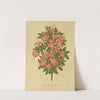 Nederlandsche flora en pomona Pl.16 (1879) by Abraham Jacobus Wendel