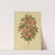 Nederlandsche flora en pomona Pl.16 (1879) by Abraham Jacobus Wendel