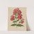 Nederlandsche flora en pomona Pl.39 (1879) by Abraham Jacobus Wendel
