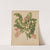 Nederlandsche flora en pomona Pl.49 (1879) by Abraham Jacobus Wendel