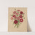 Nederlandsche flora en pomona Pl.68 (1879) by Abraham Jacobus Wendel