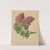Nederlandsche flora en pomona Pl.69 (1879) by Abraham Jacobus Wendel