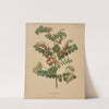 Nederlandsche flora en pomona Pl.73 (1879) by Abraham Jacobus Wendel