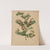Nederlandsche flora en pomona Pl.73 (1879) by Abraham Jacobus Wendel