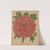 Nederlandsche flora en pomona Pl.81 (1879) by Abraham Jacobus Wendel