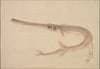 Needlefish (Yagara)