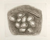 Nest with Eggs (1935)