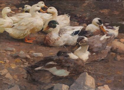 Neun Enten am Teichufer