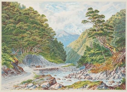 New Zealand Graphic and Descriptive. Otira Gorge, West Coast Road.