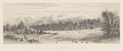 New Zealand Graphic and Descriptive. Plate V. Te Anau
