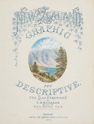 New Zealand Graphic and Descriptive. The Remarkables (Title page) — size preview