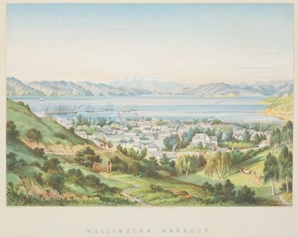 New Zealand Graphic and Descriptive. Wellington Harbour.