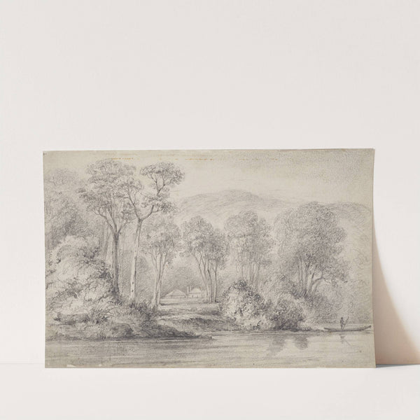 Newry, Mr Molesworth&#039;s, River Hutt by William Swainson