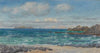 Newtrain Bay and Gull Island, Cornwall