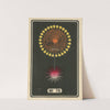 Night Fireworks no. 78 by Jinta Hirayama