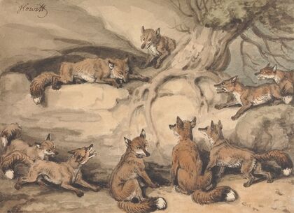 Nine Foxes Gathered Around a Tree; an Illustration of Aesop’s Fable, ‘The Fox who Lost His Tail’