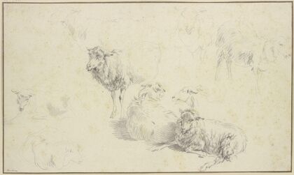 Nine sheep