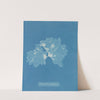Nitophyllum ulvoideum by Anna Atkins