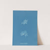 Nitophyllum versicolor by Anna Atkins