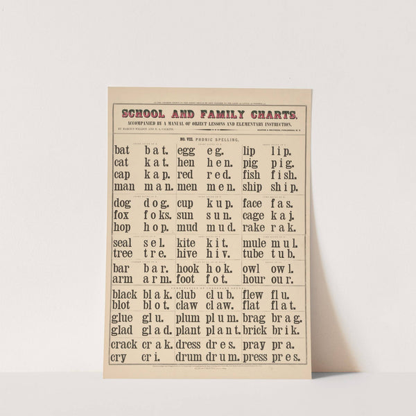 No.VIII. Phonic spelling (1890) by Marcius Willson