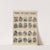 No. XV. Zoological by Marcius Willson
