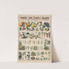 No. XXI. Botany by Marcius Willson