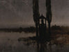 Nocturnal Marshland