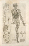 Nona ac postrema huius tractatus figura