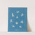 Nostoe commune by Anna Atkins
