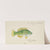 Notolabrus celidotus (NZ) : Wrasse (1875) by Frank Edward Clarke