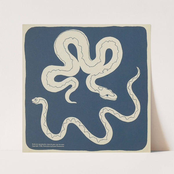 Nouvelles images à colorier, Reptiles Pl.02 (1938) by Elena Pavlovna Gertik