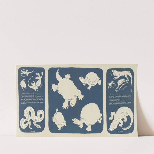 Nouvelles images à colorier, Reptiles Pl.09 (1938) by Elena Pavlovna Gertik
