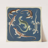 Nouvelles images à colorier, Reptiles Pl.10 (1938) by Elena Pavlovna Gertik