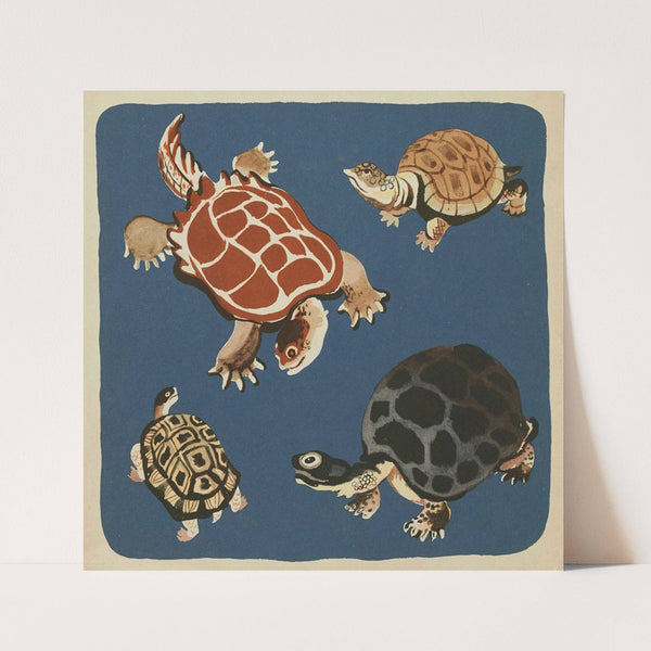 Nouvelles images à colorier, Reptiles Pl.16 (1938) by Elena Pavlovna Gertik