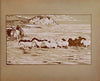 Novissima Pl.48