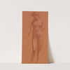Nude (Late 19th Century) by English School